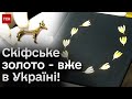 ❗ Скіфське золото вдома! Епопея з повернення в 10 років!