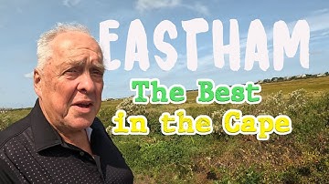 Exploring the Beauty of Eastham, Massachusetts: A Scenic Coastal View