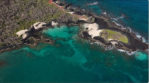 Jocotoco Is Turning Marine Protection Into Action | Bezos Earth Fund