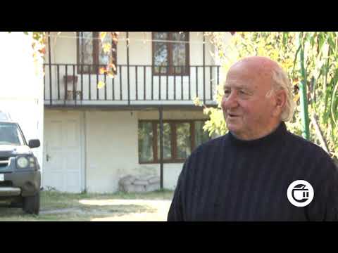 გურჯაანის  მუნიციპალიტეტში 50  ახალი ღვინის მარანი გაიხსნა