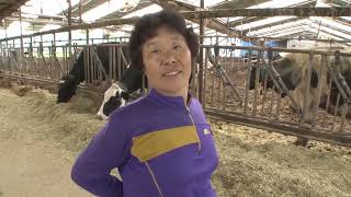 축사일로 허리가 S자로 굽은 어머니