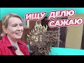 28 мая | НОВАЯ КЛУМБА | ПЕЧАЛЬКА | ДВА МУЖИКА В СПАЛЬНЕ