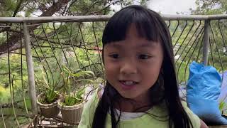 Vlog With The Chicken?