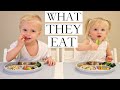 What Our VEGAN/PLANT-BASED Children Eat (PART 1/2)