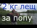 Ловля леща в конце лета на фидер