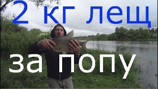 Ловля леща в конце лета на фидер