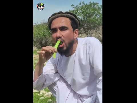 گردش در طبیعت  زیبایی طبیعت  منظره  آرامش