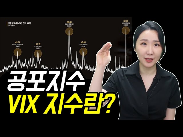 공포지수 VIX지수란? 개념부터 지수 보는 법 (변동성지수, VKOSPI)
