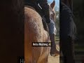 Riding a mustang with a spinal cord injury