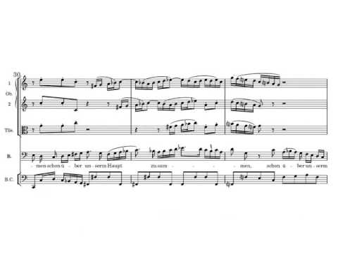 Foto de Cantata "Nimm Von Uns, Herr, Du Treuer Gott" BWV 101: IV. Aria (Bass): "Warum Willst Du So Zornig Sein?"