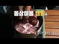 [캠핑] 영인산자연휴양림ㅣ생계형 부부캠핑ㅣB지구 12번ㅣ미니멀웍스 잭 쉘터 플러스ㅣRCE 시니어2ㅣ가을캠핑