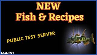 NEW Type Of Fish & Recipes Coming Soon To Fallout 76....(PTS SPOILER).....