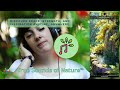 True Sounds of Nature