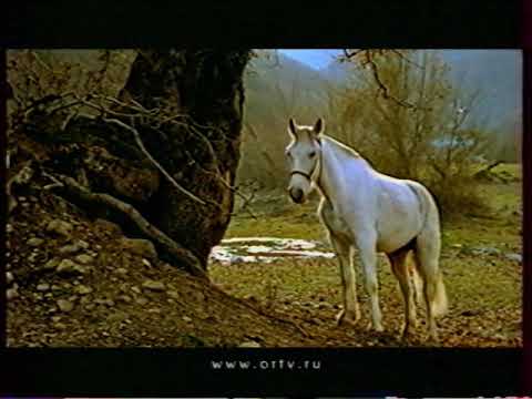 Анонс Процесс и заставка канала ОРТ 23 05 2001 