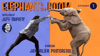 Elephant in the Room, Episode 1: Working with Long Form Text in PostgreSQL and Django