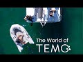 The world of temo  le monde de temo