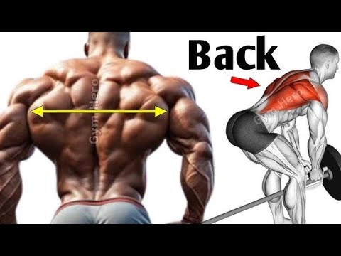 Design Your Own Workout To Develop YourBack Muscles Best exercises for ...