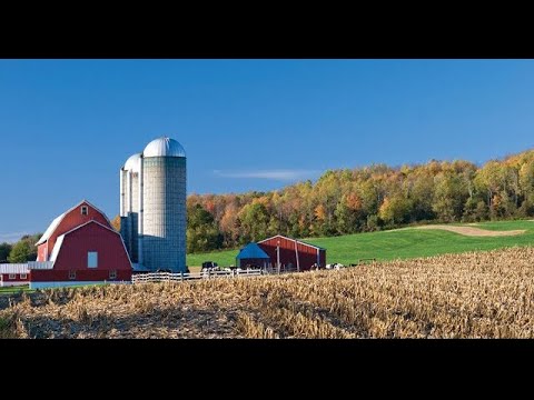 “Webinar -- Roundtable on Building Partnerships”