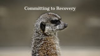 Celebrity Committing to recovery Wealth