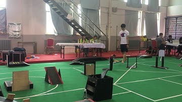 On Line Control of Mobile Robot Based on Linear CCD Sensor