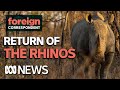 Rhinos Have Been Brought Back From the Brink of Extinction in Zimbabwe | Foreign Correspondent