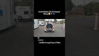 Famous This isn't a Normal Beetle Profile