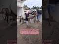 ahli khusus tukang pemasangan batu sikat lantai carport Medan hubungi WhatsApp 0821-6556-4101