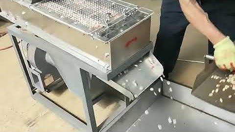 Peanut peeling machine #peanut #peeler  #machine #peelingmachine #peanutpeeler #machine #nut