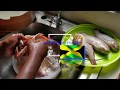 French fried fish jamaican style