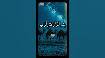 🖤||وَٱلشَّمۡسِ وَضُحَىٰهَا|❤️ #محمود_الشحات_أنور #القران_الكريم #تلاوه_خاشعه #foryou