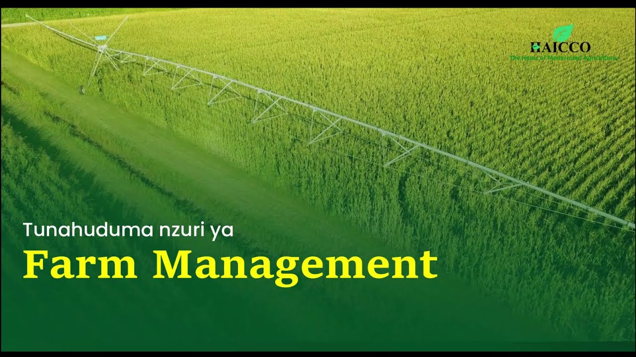 FARM MANAGEMENT | HAICCO TANZANIA | FARM WITH US
