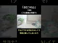 大変だけど、とても貴重で、大切な時。