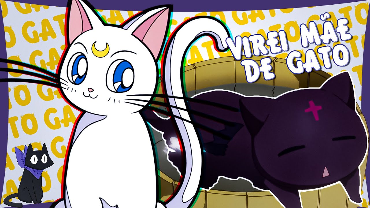 VOCÊ DEVE ADOTAR UM GATO