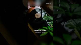 Bak Şu Dünyada Turlu Turlu Haline