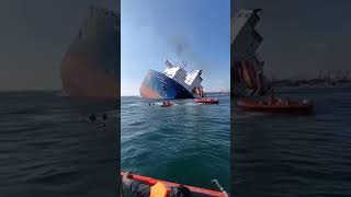 Massive Ship Collision with Bridge | #shippingcontainer #shiplife