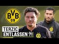 Edin Terzic: Schafft er mit dem BVB die Wende?! image