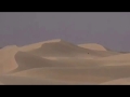 انطلق الصيد سهيل بين والقنص له طواري 