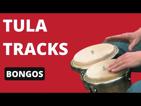 Tula Mics- Bongos