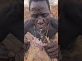 Hadzabe Cooking with Clear Morning Air #Hadzabe #MorningAir #PrimitiveCooking #WildFood #shorts