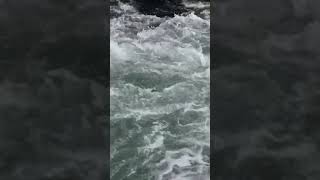 2503 1021125 mp3