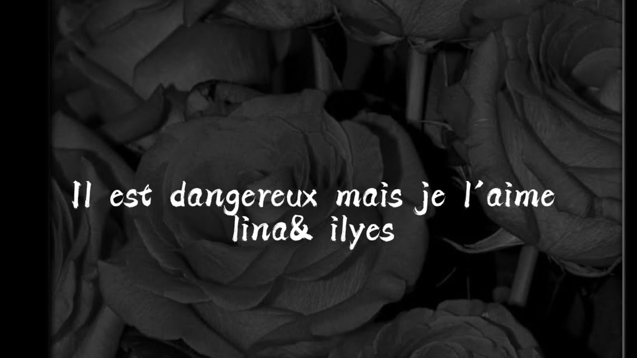~|• Il est dangereux mais je l’aime •|~ partie 48 