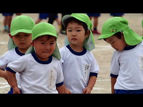 運動会　動画