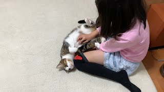 This cat always loved my daughter a lot...