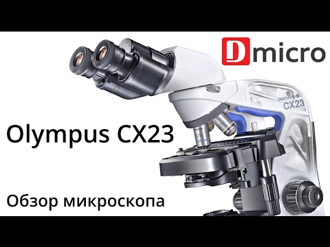 Olympus CX23. Обзор лабораторного микроскопа