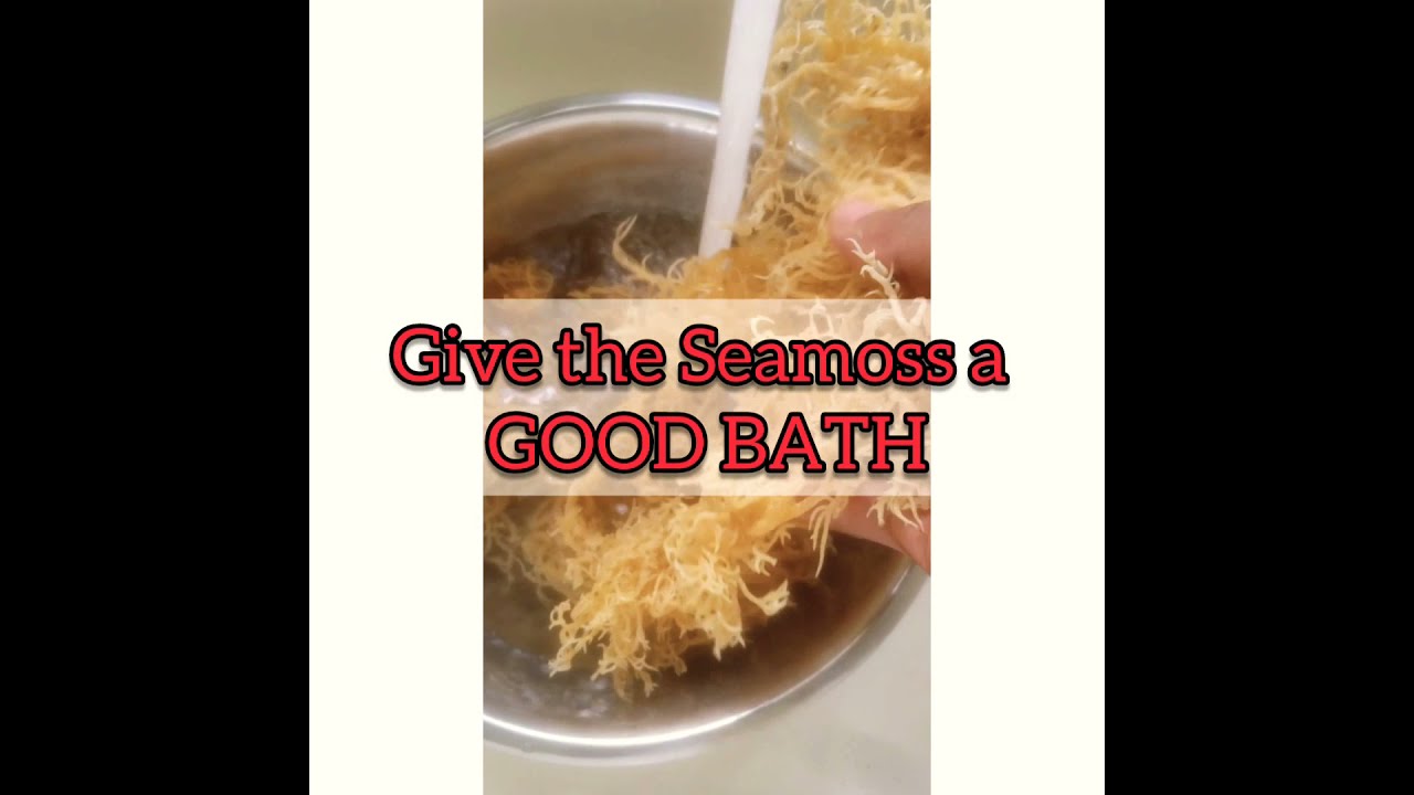 HOW TO CLEAN SEA MOSS THE RIGHT WAY | SEA MOSS BATH