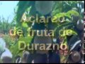 ACLAREO DE FRUTA DE DURAZNO (2010)