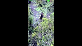 Florida man leads deputies on manhunt through swamp for hours: sheriff’s office