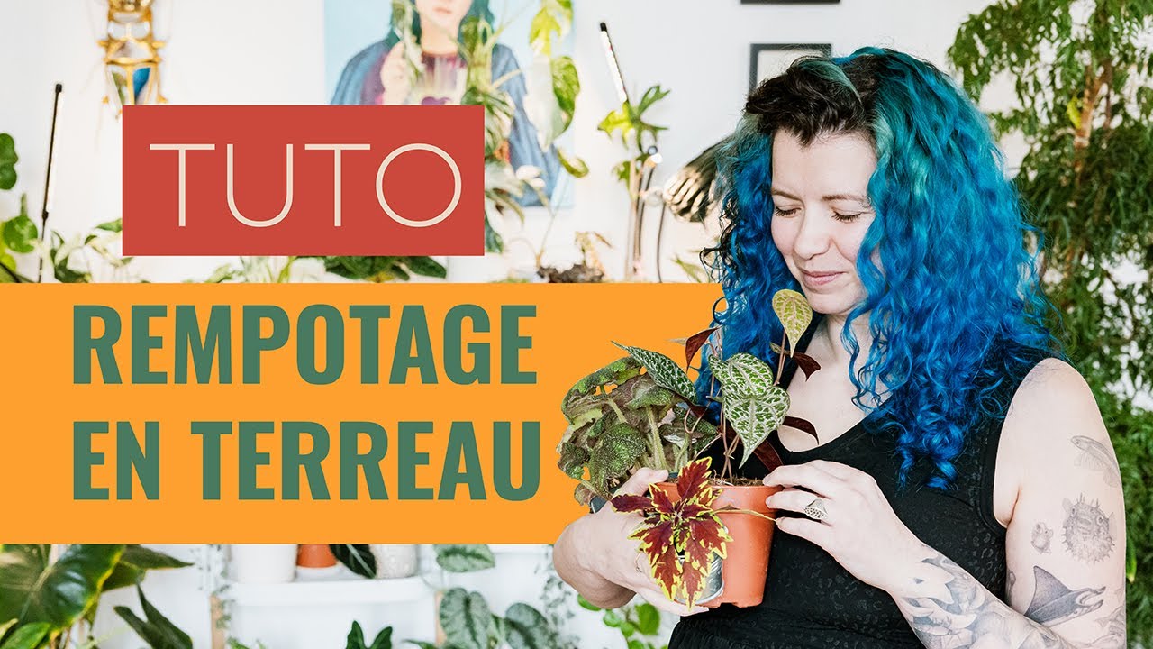 🪴 TUTO Rempotage complet en Terreau 👩‍🌾