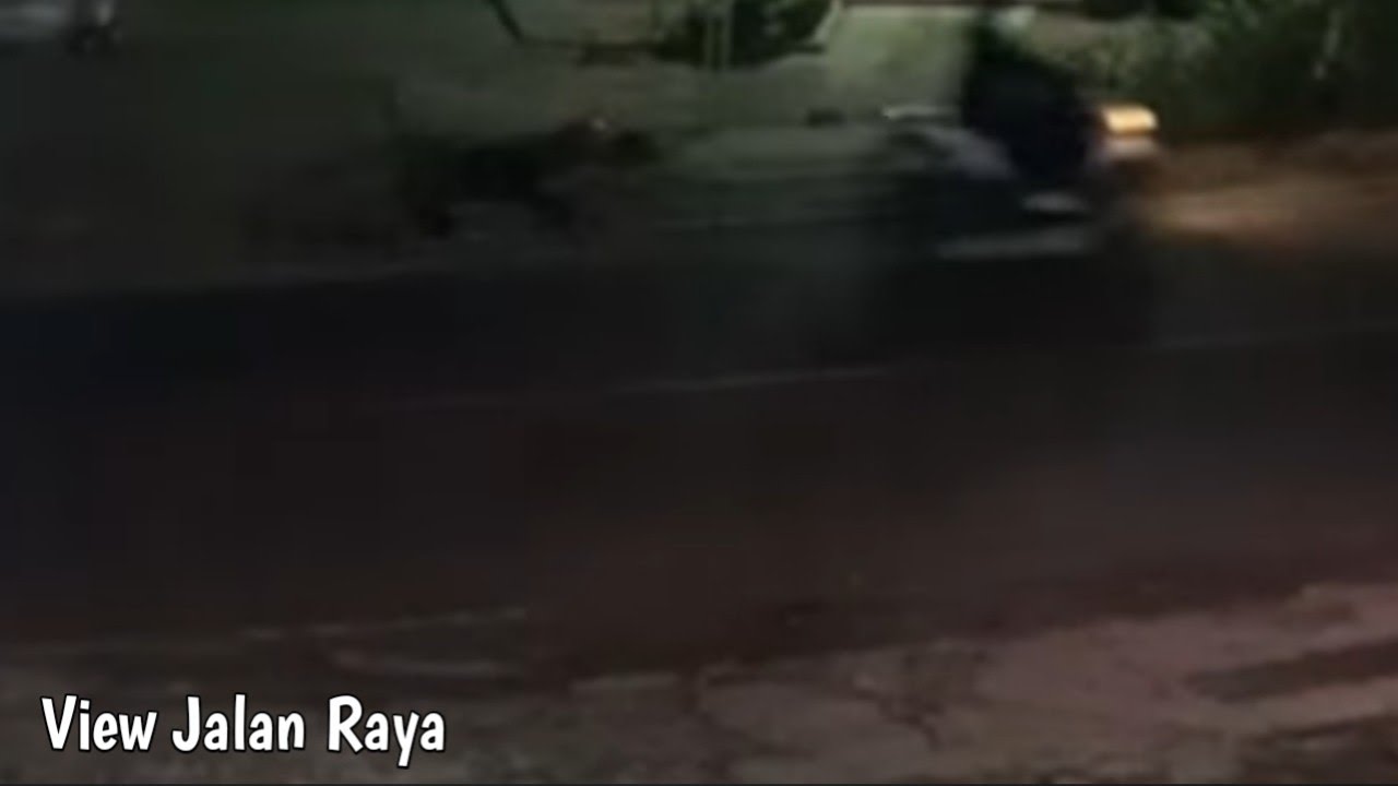 ALBUM NOSTALGIA LEGENDARIS | Versi Pop & Slow Rock Cover | SoraMelodia