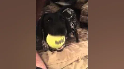 Chanel and ball